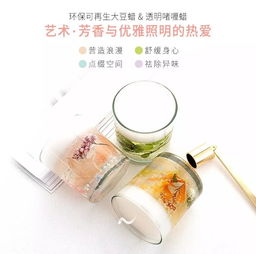 CIE展商搶先看 | 聚焦跨境優質貨源工廠 三氯異氰尿酸產品深度解析